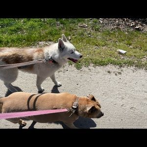 Meet your Posher, William